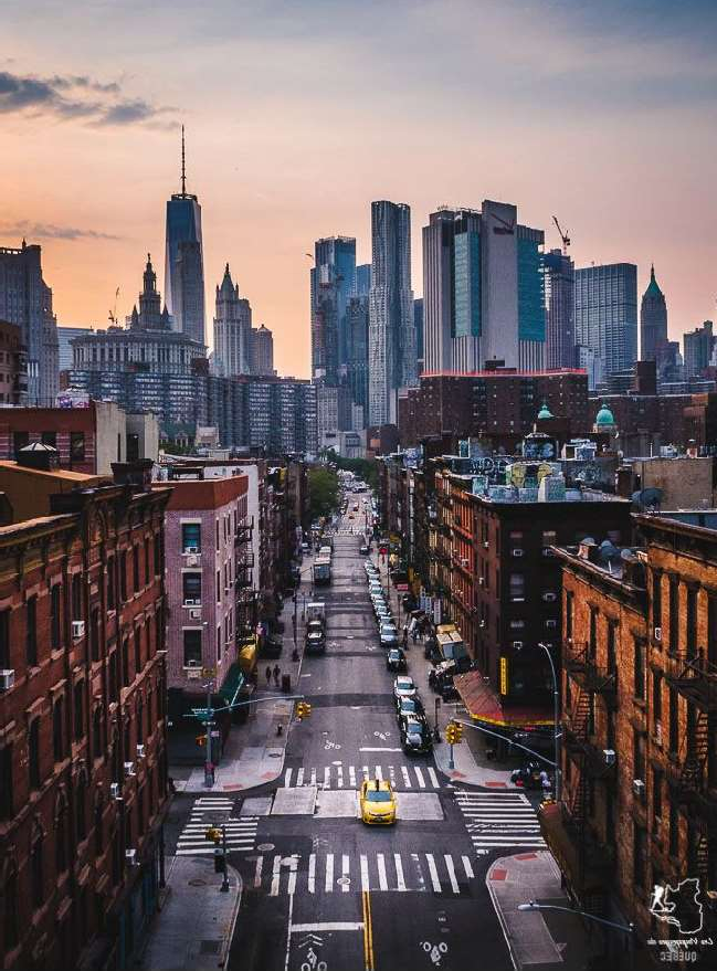 LES JEUDIS AUX COLLECTIONS